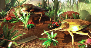 xtreme bugs